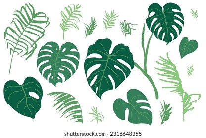 Set of monstera leaves and palm tree leaves. Isolated elements on the neutral background.