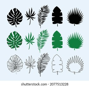 Set aus Monsterablättern, Palmen, Schablone, Ikone 