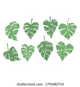 Set of monstera leaves texture tropical leaves isolated on a white background, vector illustration