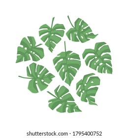 Satz von Monstera Blätter Textur tropische Blätter einzeln auf weißem Hintergrund, Vektorgrafik10