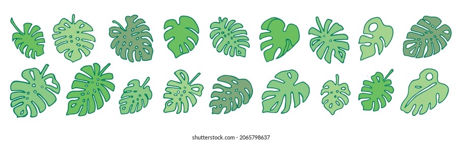 set de hojas de monstera set. Conjunto de hojas tropicales. Ilustración vectorial. hojas simples puestas. el verde tropical de Monstera deja aislado en el fondo blanco. gran colección Monstera
