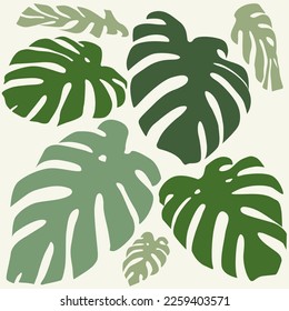 Set of Monstera Palm Leaves Isolated Vector Graphics Summer Symbol Tropics Green