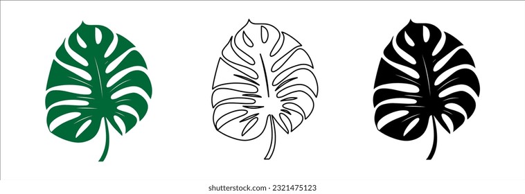 Set of monstera tropical leaf. Exotic palm leaves..Botanical plant .Jungle plant.Simple black and green monstera leaf icon.Design element.