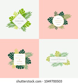 Set Of Monstera Tropical Leaves Fashion Signs Or Logo Templates. Abstract Foliage With Golden Borders And Classy Typography. Pastel Backgrounds. Isolated.