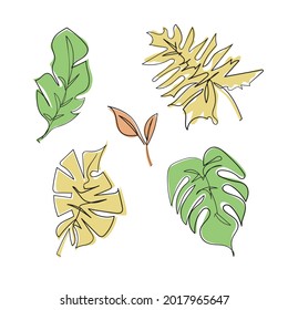 Set of monsterra leaves in outline vector