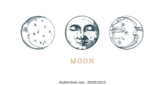 Set of Moon drawings in engraving style. Crescent graphic retro illustrations in vector. Vintage pastiche of esoteric and occult sign.