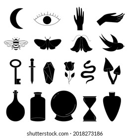 Set of moon, eye, hands, crystal, snake, rose,  leaf, bee, key, magic ball, mushrooms, rose, bird, moth, dagger, sandglass. Vector illustration.