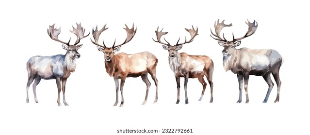Set of moose deer animal watercolor isolated on white background. Vector illustration