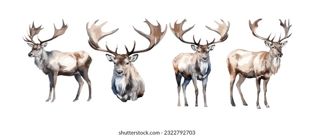 Set of moose deer animal watercolor isolated on white background. Vector illustration