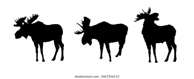 Set of moose silhouette - vectror illustration