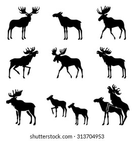 Set of Moose Silhouettes. Vector Images 