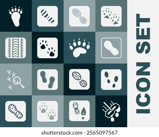 Set Mop, Human footprints shoes, Paw, Tire track, Bear paw and  icon. Vector