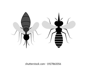 Set of mosquito on white background, macro of a Mosquito, Aedes Aegypti. Vector illustration.
