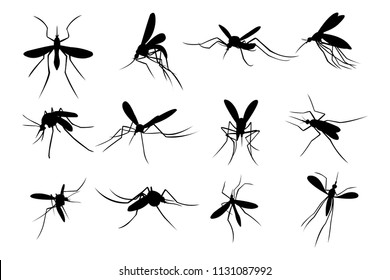 Set of Mosquito Silhouette Logo Template Design Vector, Emblem, Design Concept, Creative Symbol, Icon