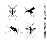 Set of mosquito silhouettes isolated on white background. Vector mosquito silhouettes. Aegypti flying mosquito. Zika virus transmission. Vector aegypti mosquito silhouettes isolated on white. Fly.Pest