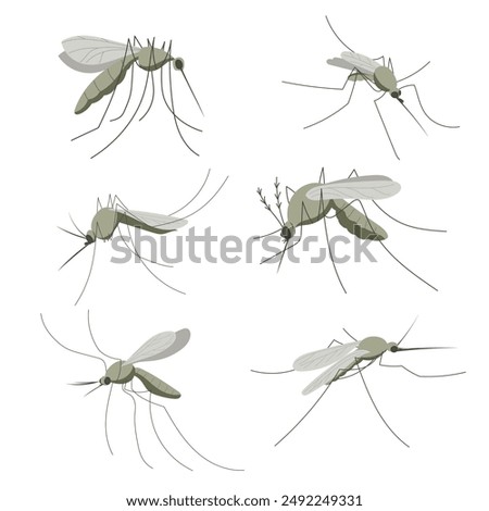 Set of mosquitoes. Small mosquito insect. Illustration in flat, simple, cartoon style