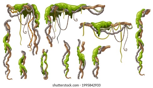 Set of moss on branches liana. Game cartoon creeper and green lichen. Isolated vector objects on white background.