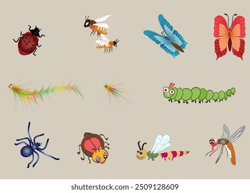 Set of the most common insects. Isolated vector illustration for different purposes.