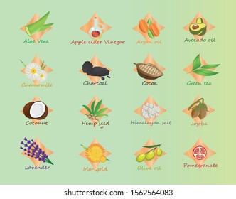 Set of most common skin care ingridiants used in natural cosmetics industry. Vector, icons and labels.