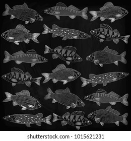 Set is the most popular freshwater fish. The objects are located chaotically. Pike, carp, carp, pike perch, perch. Drawing chalk on a black board, vector illustration.