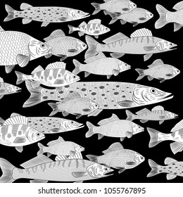 The set is the most popular freshwater fish. A flock of freshwater fish. Pike, carp, carp, pike perch, perch.Drawing of white on a black background.