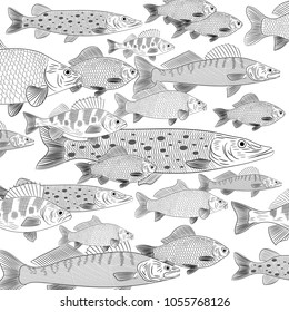 The set is the most popular freshwater fish. A flock of freshwater fish. Pike, carp, carp, pike perch, perch