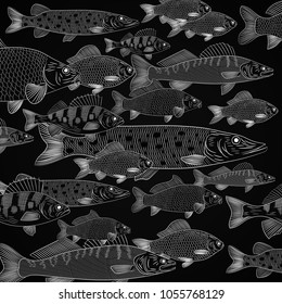 The set is the most popular freshwater fish. A flock of freshwater fish. Pike, carp, carp, pike perch, perch. Drawing chalk on a black board, vector illustration.