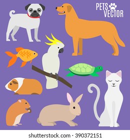 Set of most popular pets. isolated animals. cartoon flat design. vector illustration EPS8 