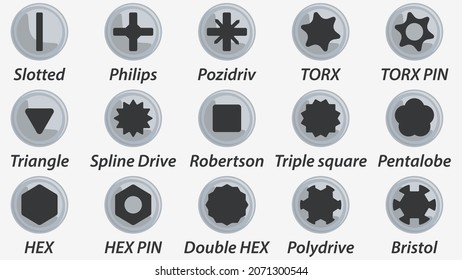 Set of the most popular slots for screwdrivers. Flat illustration