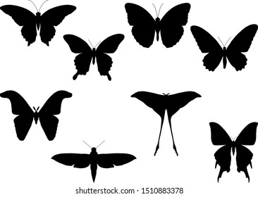 Set of moth and butterflies silhouettes vector illustration isolated on white