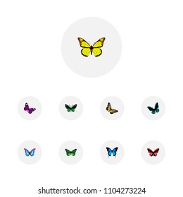 Set of moth realistic symbols with agrias claudina, summer insect, morpho aega and other icons for your web mobile app logo design.