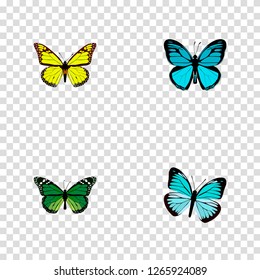 Set of moth realistic symbols with green peacock, yello-wing, papilio ulysses and other icons for your web mobile app logo design.