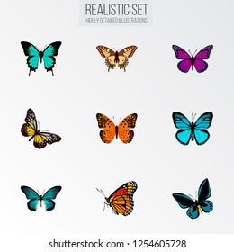 Set of moth realistic symbols with hairstreak, checkerspot, painted lady and other icons for your web mobile app logo design.