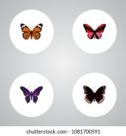 Set of moth realistic symbols with hypolimnas, striped purple crow, agrias claudina and other icons for your web mobile app logo design.