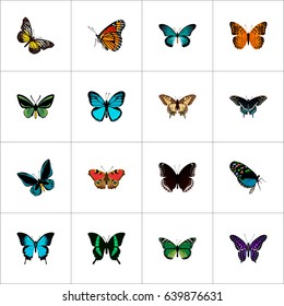  Set Of Moth Realistic Symbols Also Includes Green, Butterfly, Violet Objects.