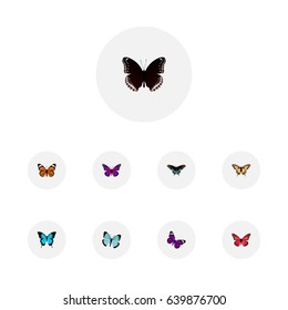 Set Of Moth Realistic Symbols Also Includes Orange, Monarch, Tiger Objects.