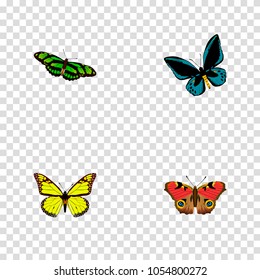 Set of moth realistic symbols with lexias, precis almana, birdwing and other icons for your web mobile app logo design.