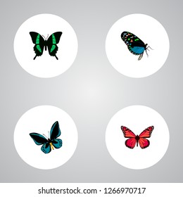 Set of moth realistic symbols with lexias, tropical moth, bluewing and other icons for your web mobile app logo design.