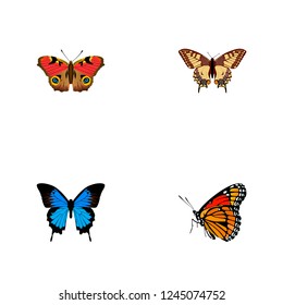 Set of moth realistic symbols with painted lady, polyommatus icarus, precis almana and other icons for your web mobile app logo design.