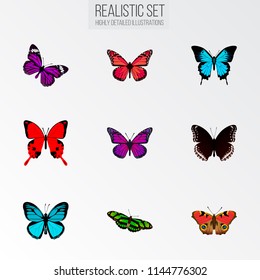 Set of moth realistic symbols with papilio ulysses, birdwing, precis almana and other icons for your web mobile app logo design.