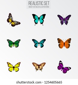 Set of moth realistic symbols with tailed-blue, butterfly, striped purple crow and other icons for your web mobile app logo design.