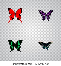Set of moth realistic symbols with tropical moth, spicebush, archippus and other icons for your web mobile app logo design.
