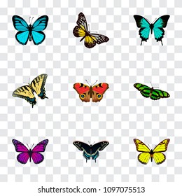 Set of moth realistic symbols with yello-wing, precis almana, butterfly and other icons for your web mobile app logo design.