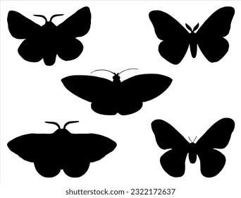 Set of Moth Silhouette Insect Vectoe Art