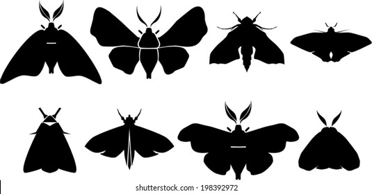 Set of moth silhouettes