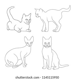 Set of mother cat with kittens - hand drawn vector illustration, isolated on white