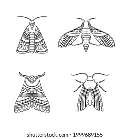 Set of moths in boho styles. Geometric tribal outline illustration.