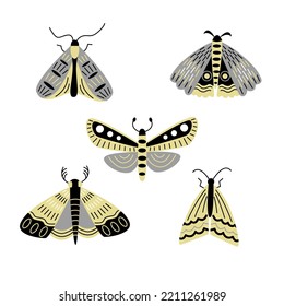 Set of moths decorated by lines. Vector color illustration.