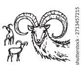 Set of mountain goats in different sizes