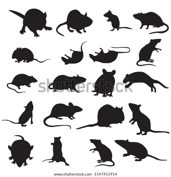白い背景にマウスanimal Mouseのシルエットセット ベクター画像 異なるポーズを持つマウスと半径 のベクター画像素材 ロイヤリティフリー